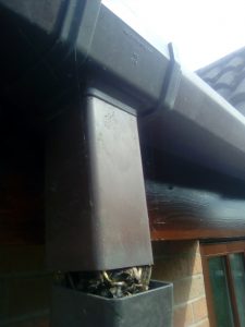 Guttering blocked causing internal damp in Telford