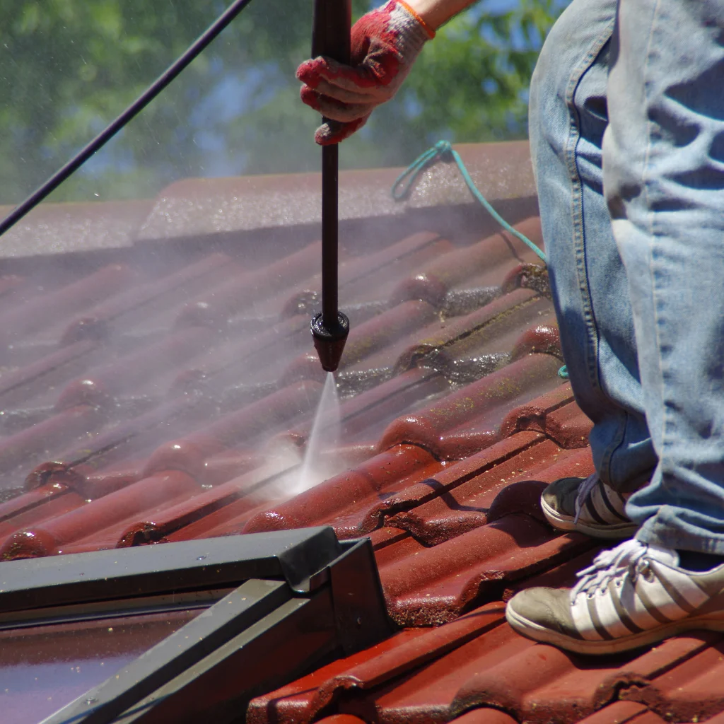 Stop Roof Damage with Regular Algae Roof Cleaning